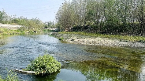 https://mmbiz.qpic.cn/sz_mmbiz_jpg/xAjcF8h7iaRkzhwn5DGJYYmw6grXW8HWWAaNAMticoNcRKrzDUgKaYTQx3cfXyWt3IIcuRoIiaJMv2APzvdohbZEA/640?wx_fmt=jpeg&tp=wxpic&wxfrom=5&wx_lazy=1&wx_co=1