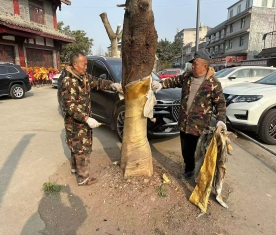 0b5ec916f8b7c309486298e823071901