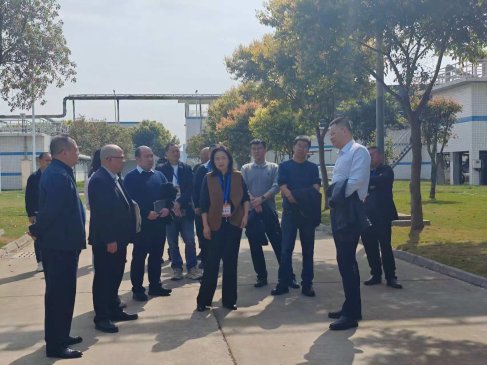 b5e2a4ed32bb9ef5347eaffdb9a54527