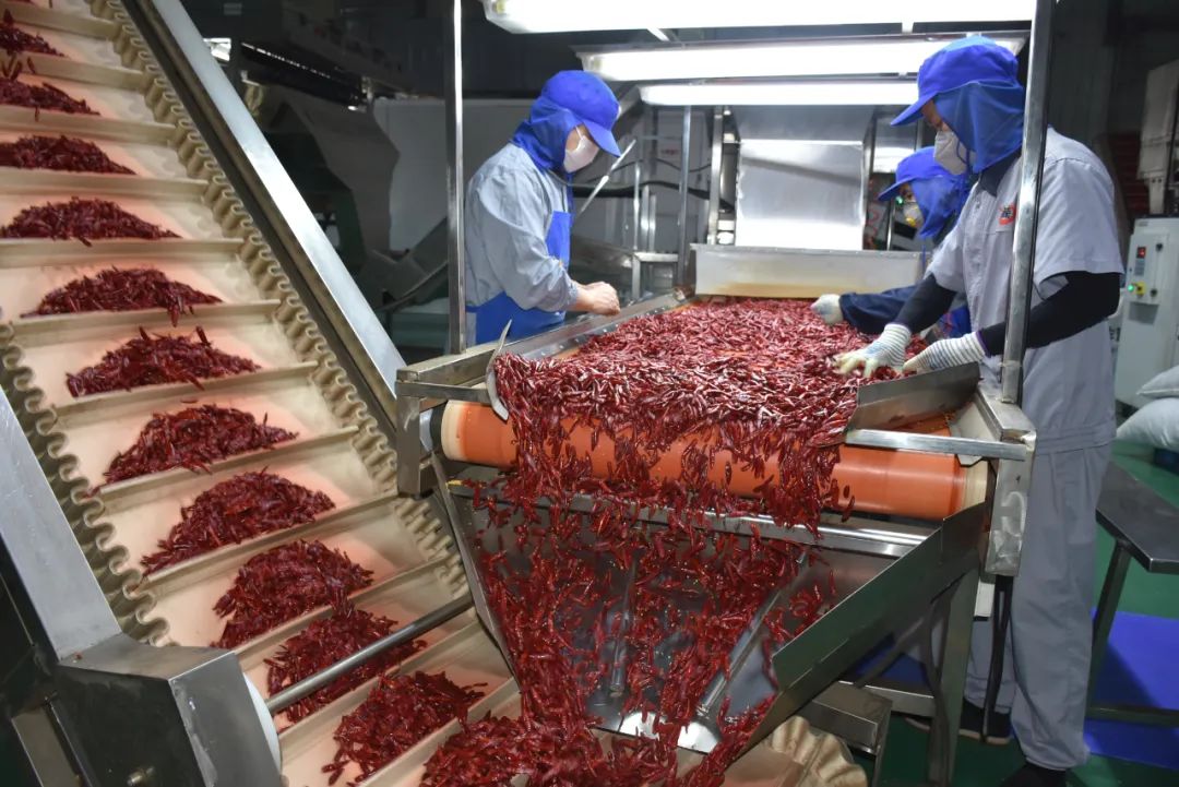 1732065692658087241.jpg 1732065692658087241.jpg