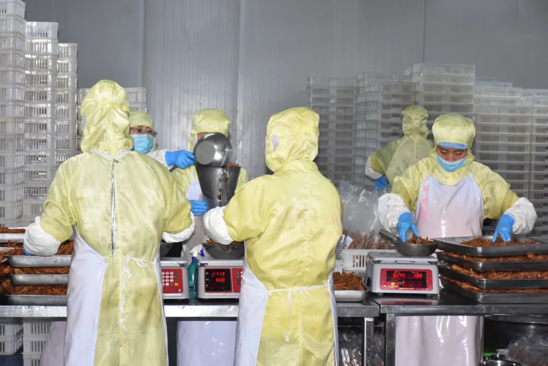 1732065709183097582.jpg 1732065709183097582.jpg