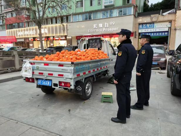 1740706159595064822.jpg 13.jpg