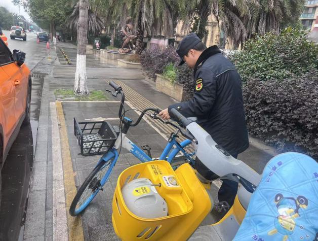 1740706164420066988.jpg 14.jpg