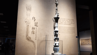 6.gif