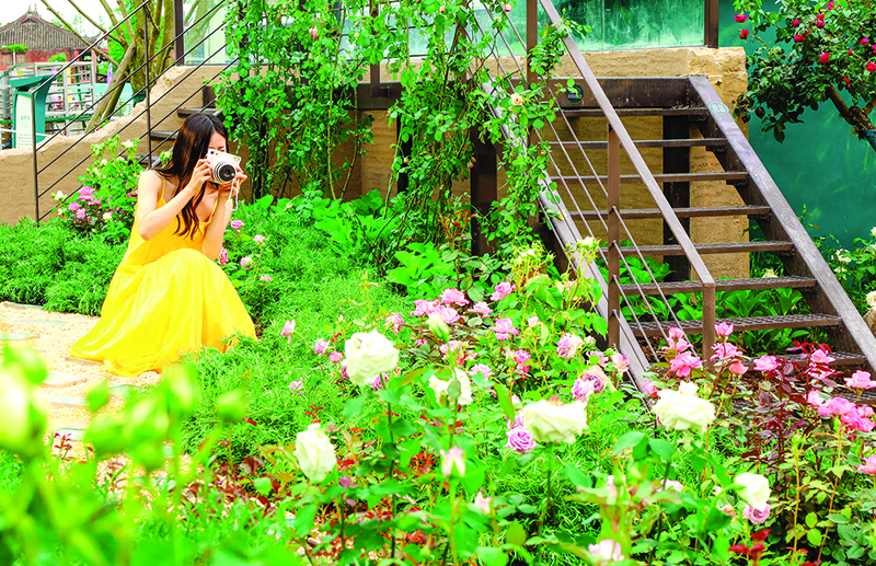 1745978763441016407.jpg 33.jpg