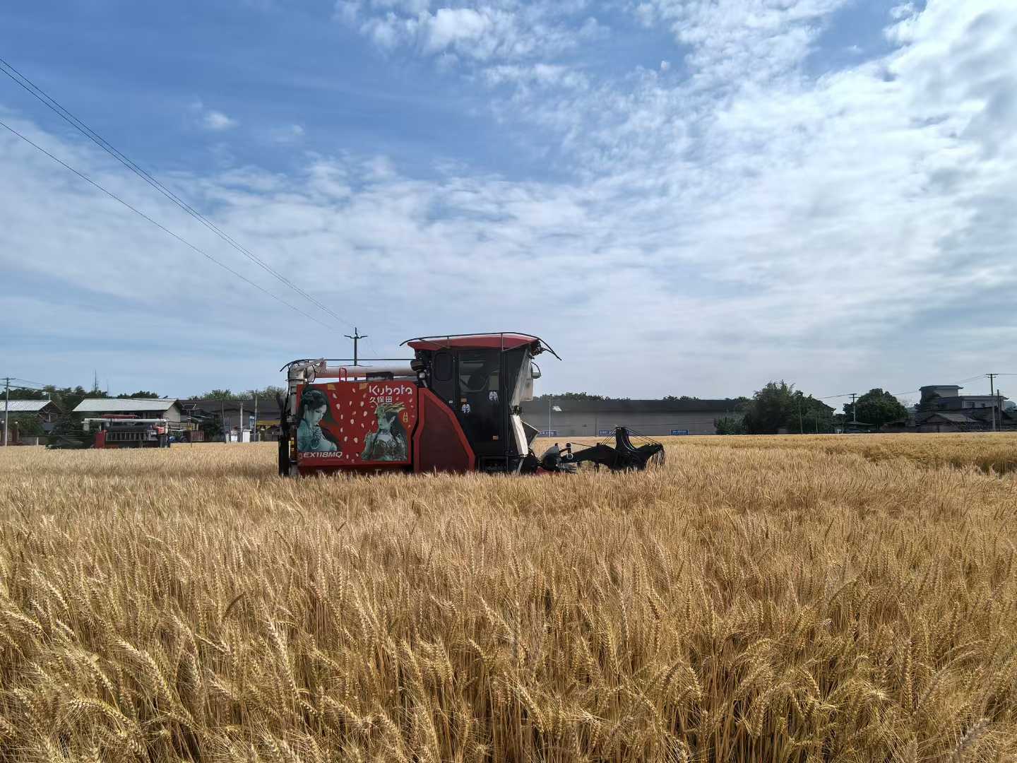 1746752765753064053.jpg 1746752765753064053.jpg