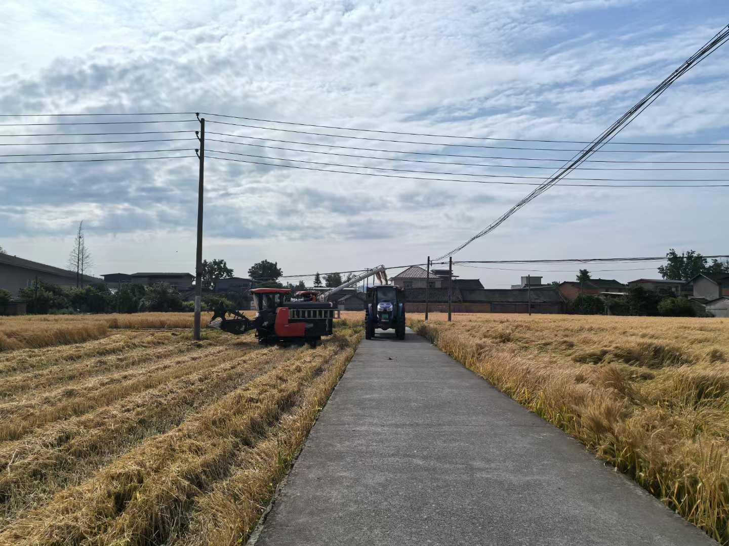 1746752799116072213.jpg 1746752799116072213.jpg