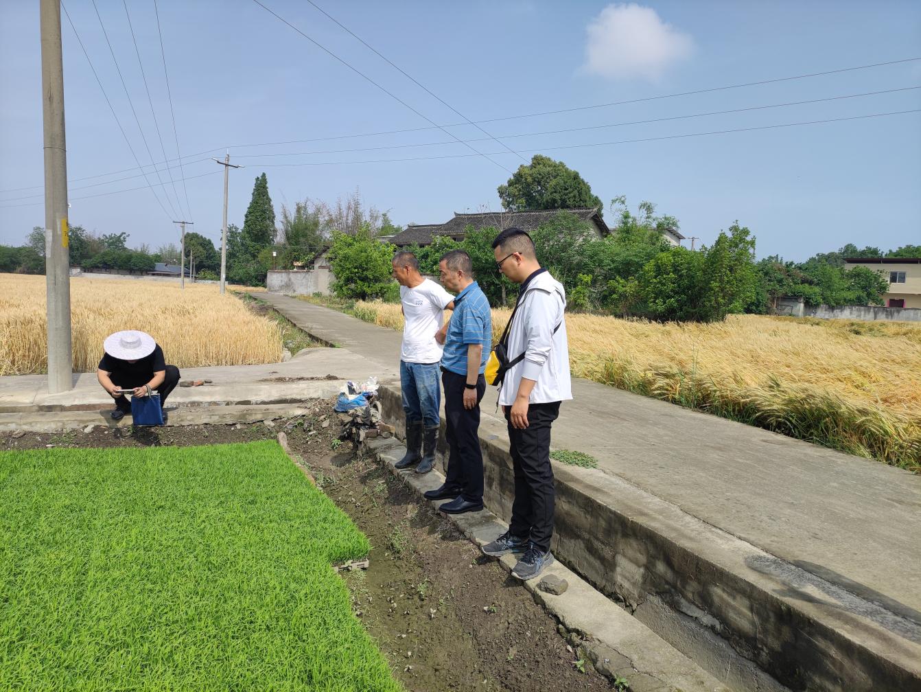 1746752818505085985.jpg 1746752818505085985.jpg