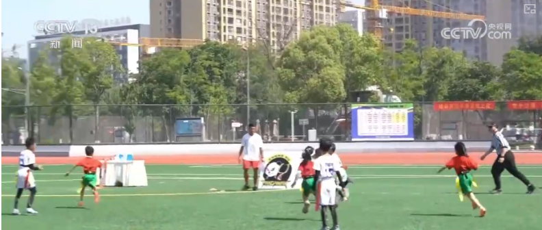 1754446487006024431.png image.png