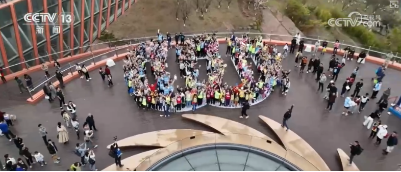 1754446523112052983.png image.png