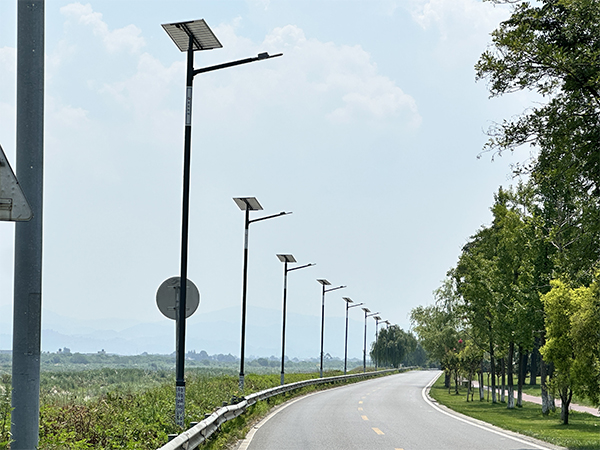 1755739500692099746.jpg 4.jpg