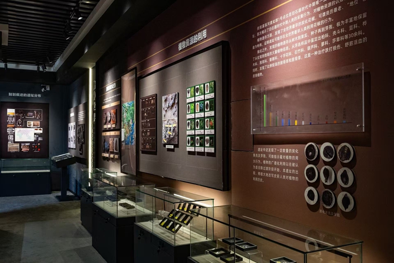 1759108850290096568.jpg 12.jpg