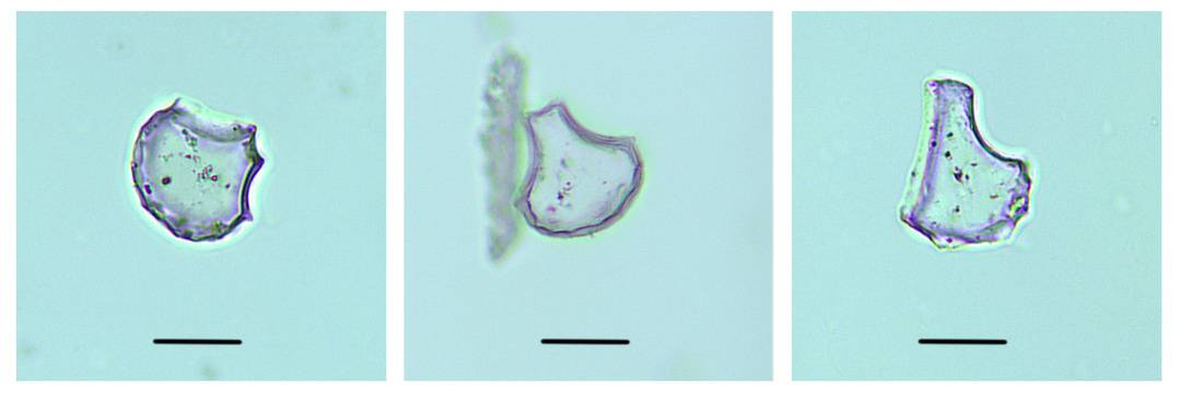 1759132072296095879.jpg 1759132072296095879.jpg