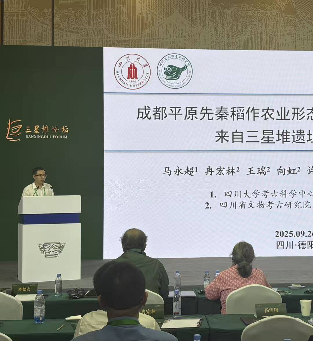 1759132846083088764.jpg 1759132846083088764.jpg