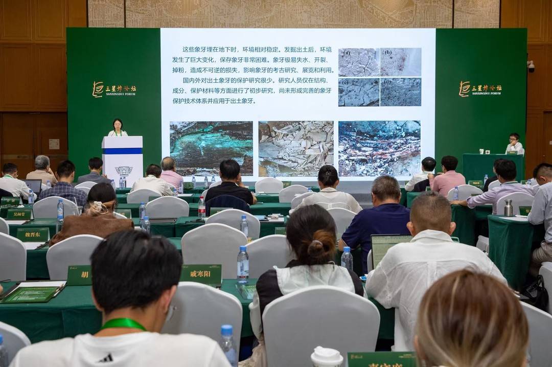 1759133350539047269.jpg 1759133350539047269.jpg