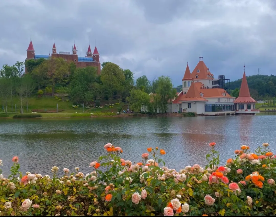 1760060683552000371.png 1760060683552000371.png