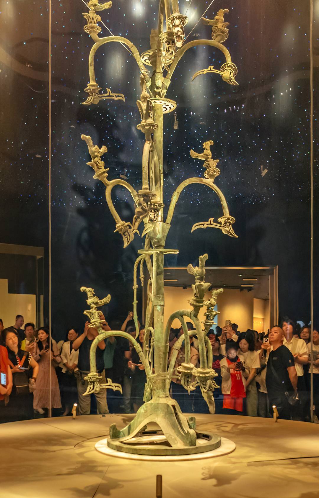 1760061428241033877.jpg 1760061428241033877.jpg