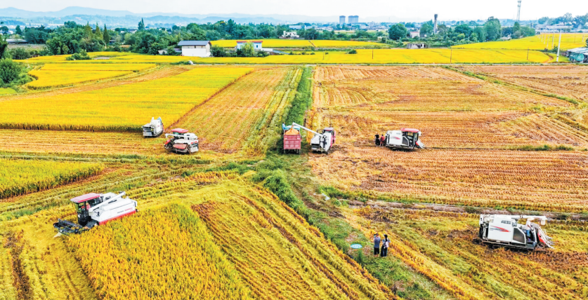 1760577698527026104.png 12.png