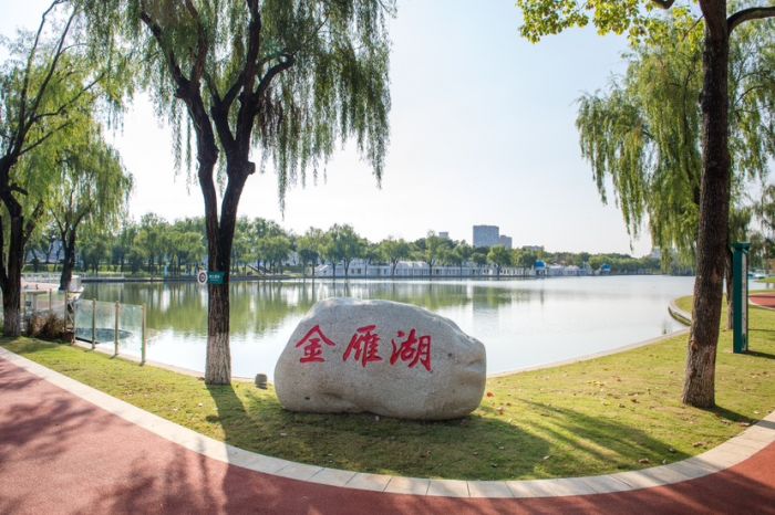 1761268252552017544.jpg 3.jpg