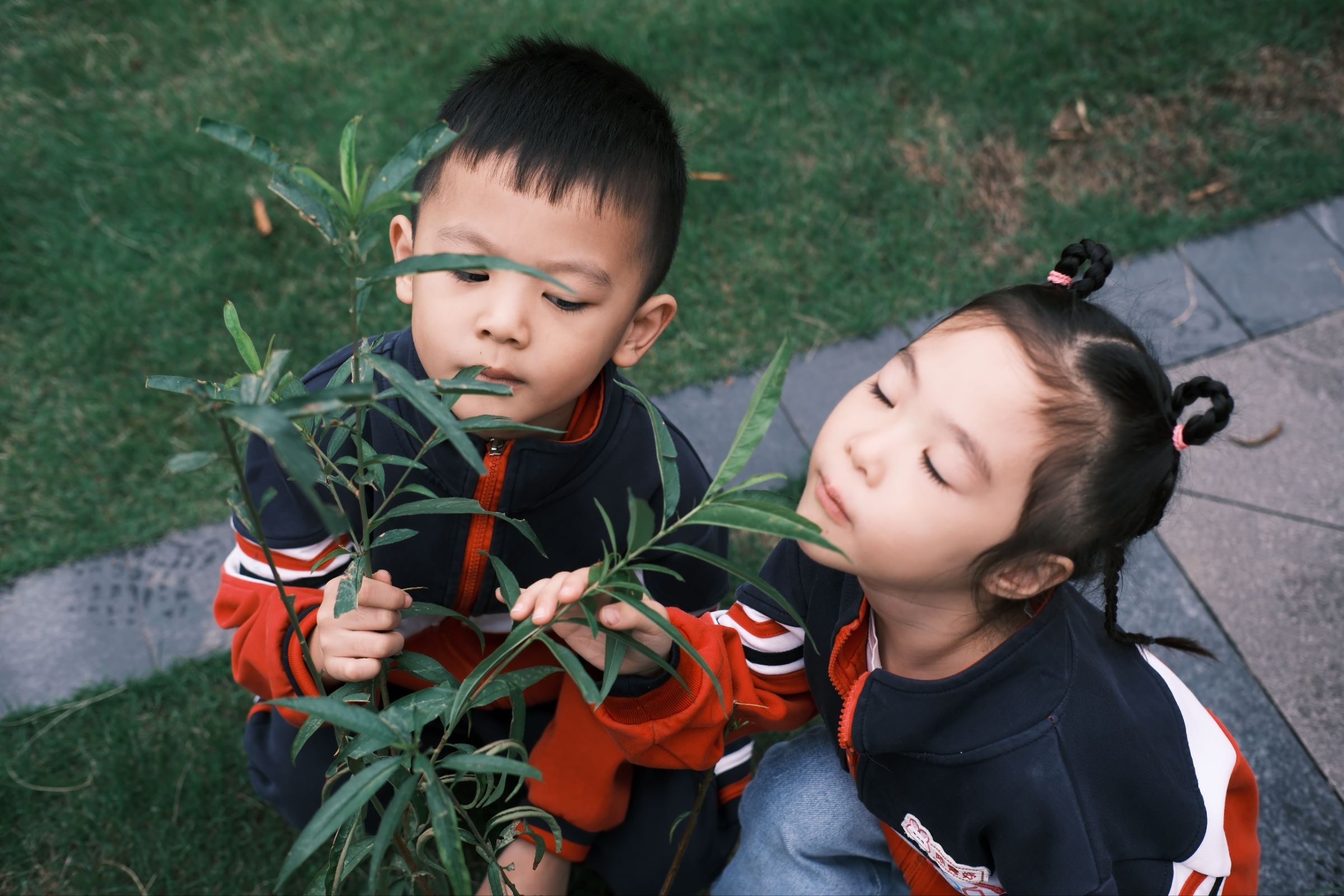 1761271658324001074.jpeg QQ图片20251017143830(17).jpeg