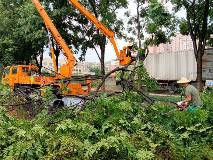 1761527833318040460.jpeg 5.jpeg