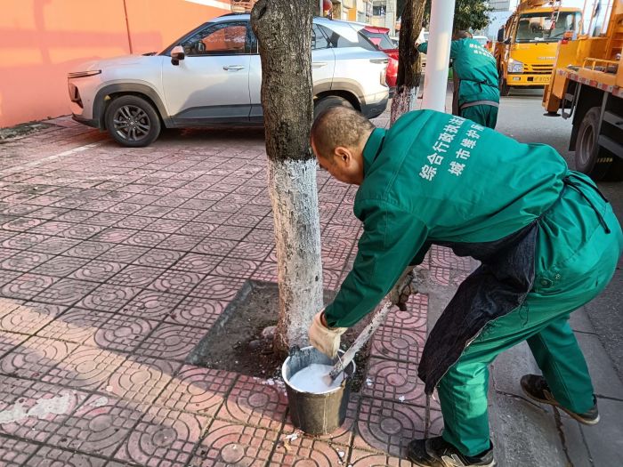 1761527840909057467.jpeg 6.jpeg