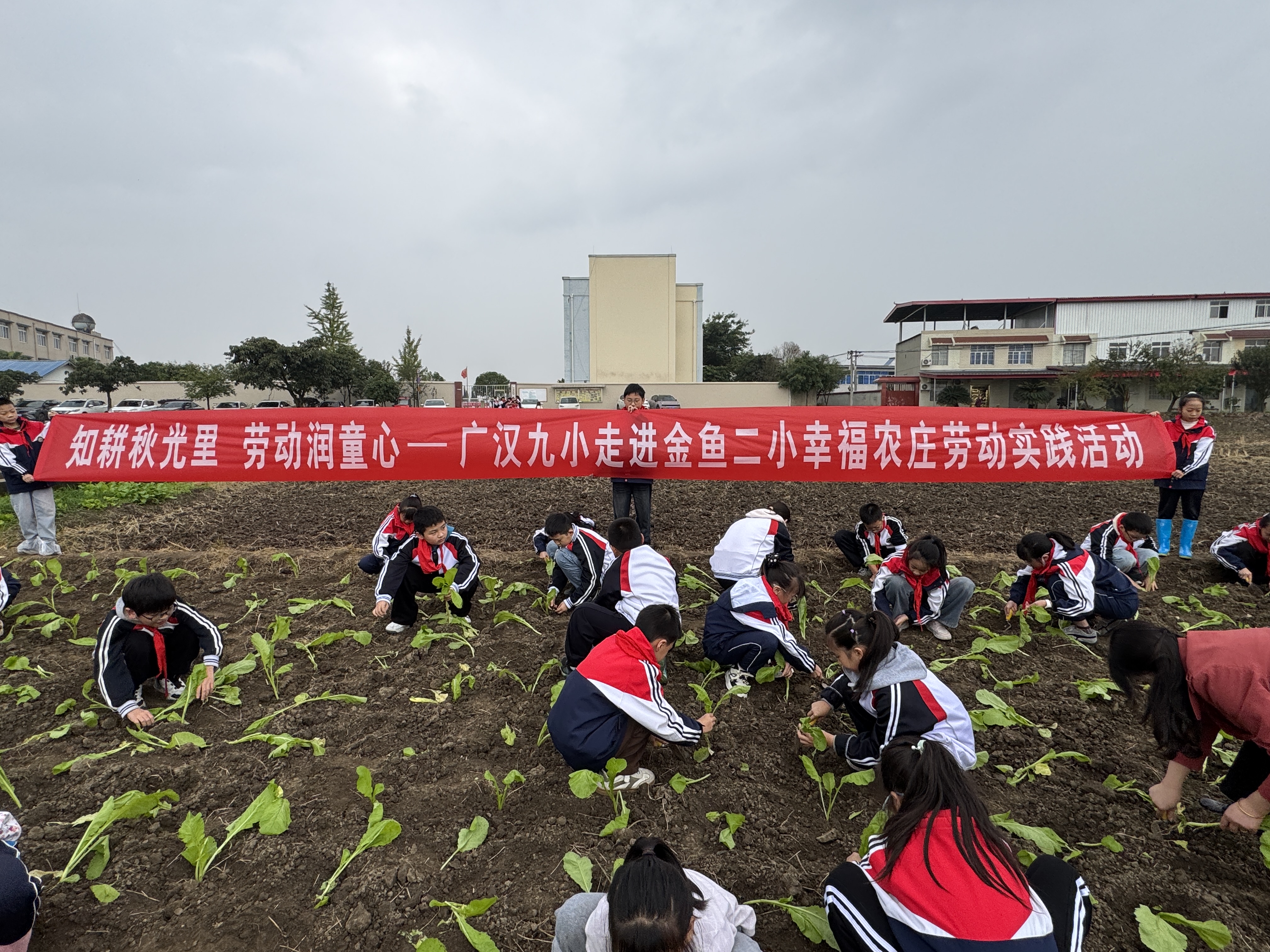 1762477312531076840.jpg IMG_5470.jpg