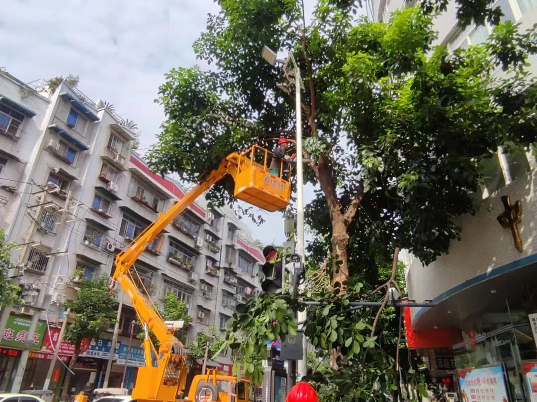 1766365208542015085.jpg 1766365208542015085.jpg