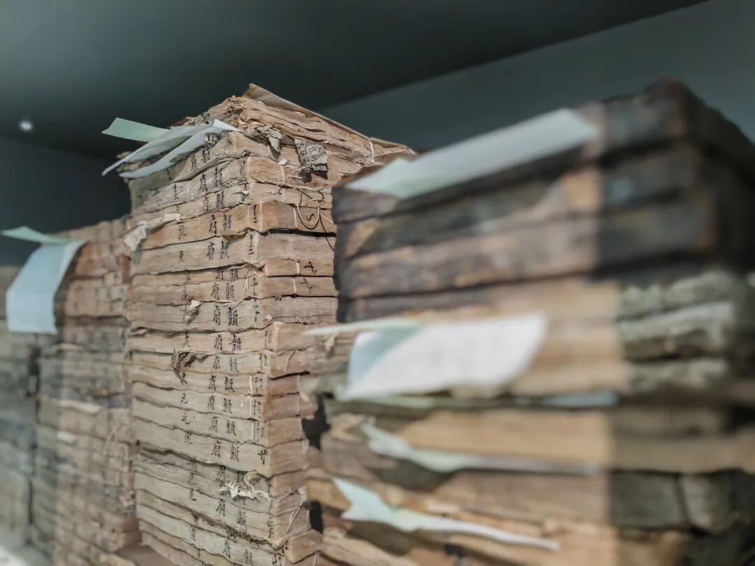 1767077771841035855.jpg 1767077771841035855.jpg