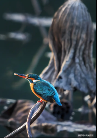 1767924286175012813.png c099865e-ee73-454b-b134-c26550239d38.png