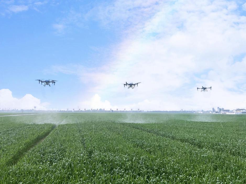 1768440149737056296.jpg 1768440149737056296.jpg