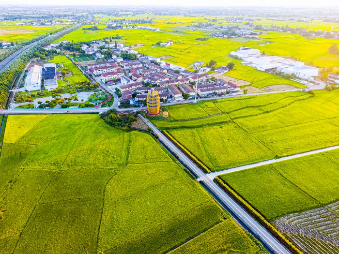 1768526137775022068.jpg 1.jpg