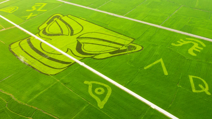 1768526153461063581.png 3.png