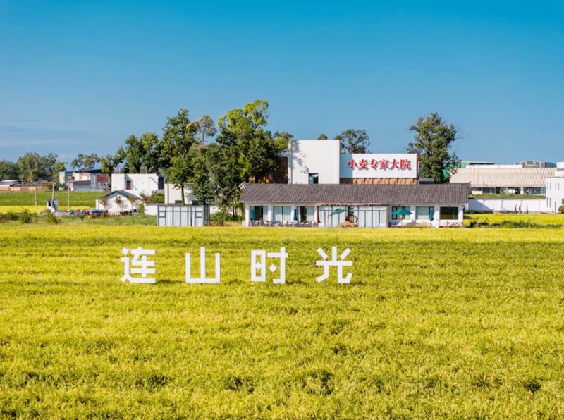 1768785987817081511.jpg 1.jpg