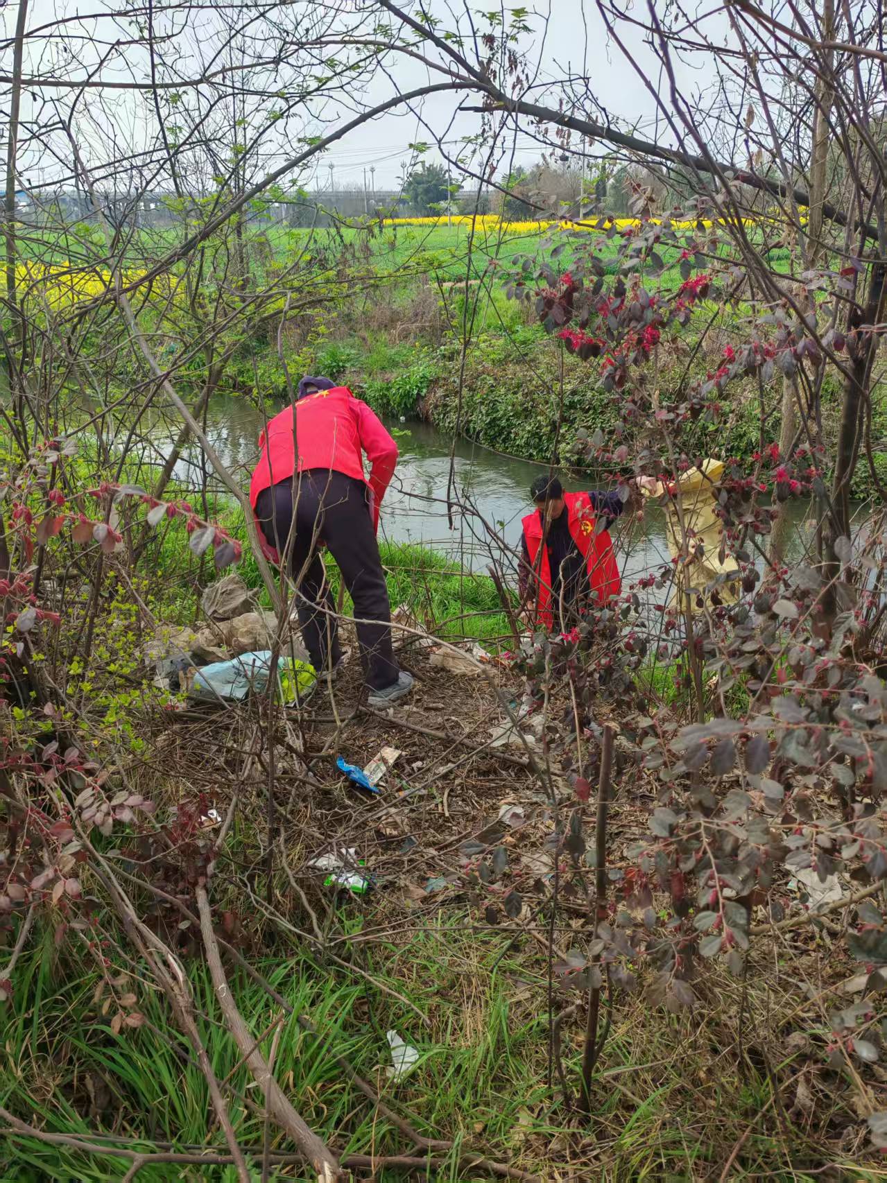 1772701230873079387.jpg e317d3fcb58a8bad2500617468238a3.jpg